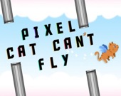 Пиксельный кот не умеет летать