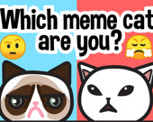 Which meme cat are you?