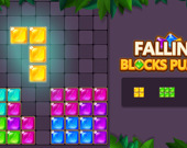 Falling Blocks Puzzle