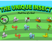The Unique Insect