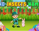Find Insects Names