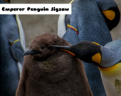 Императорский пингвин - Пазл