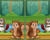 Spot The Differences Forests