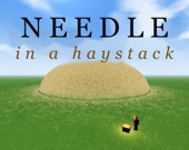 Needle in a Haystack