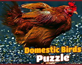 Domestic Birds Puzzle