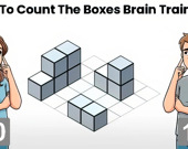 Try To Count The Boxes Brain Training