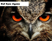 Глаза совы - Пазл