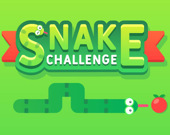 Змейка: Вызов