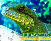 Китайский водяной дракон - Пазл