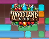 Woodland Slide