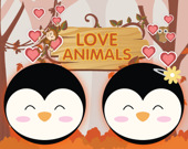 Любовь к животным