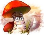 Mushroom age