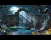 Темные истории. Эдгар Аллан По. Ворон. Коллекционное издание